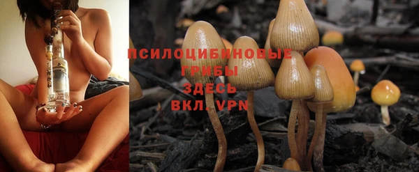 apvp Володарск