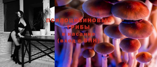 apvp Володарск