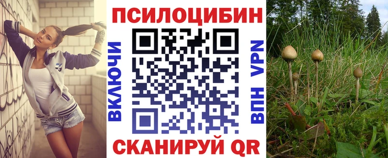 Галлюциногенные грибы Magic Shrooms  Елизаветинская 